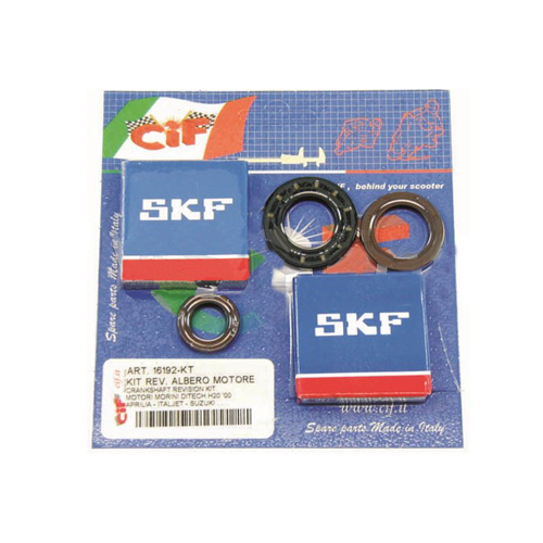 Kit revisione albero motore - revisione,