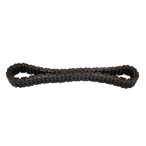 Catena trasf albero motore - catena,